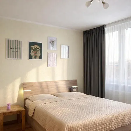 Bright & Cozy Near 公寓