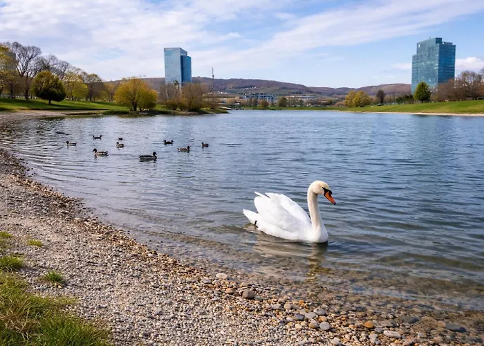 Bright & Cozy Near Apartment Bratislava