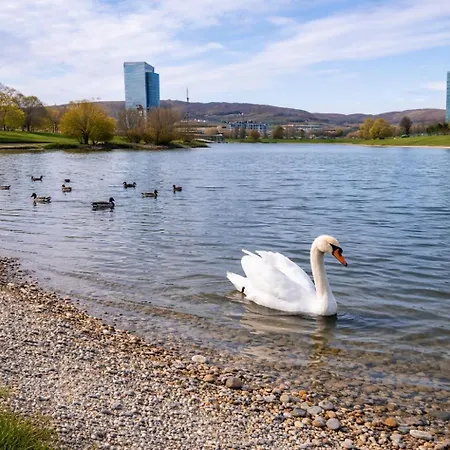 Bright & Cozy Near Apartman Pozsony